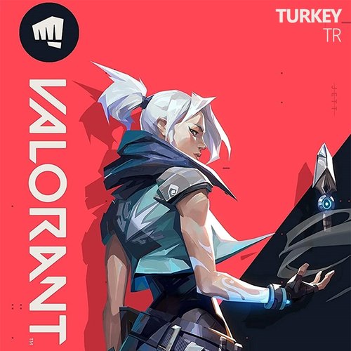New Valorant Gift Card 475 Riot Points Turkey Digital Download Available